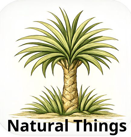 Natural Things